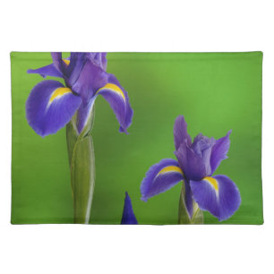 Iris Flowers Placemat