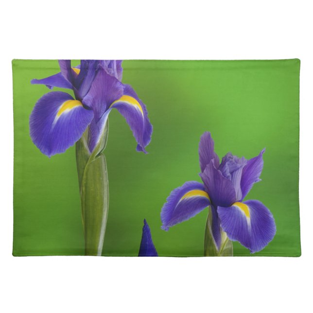 Iris Flowers Placemat (Front)