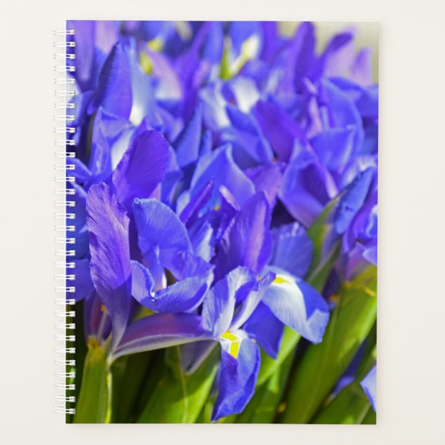 Iris flowers planner (Front)
