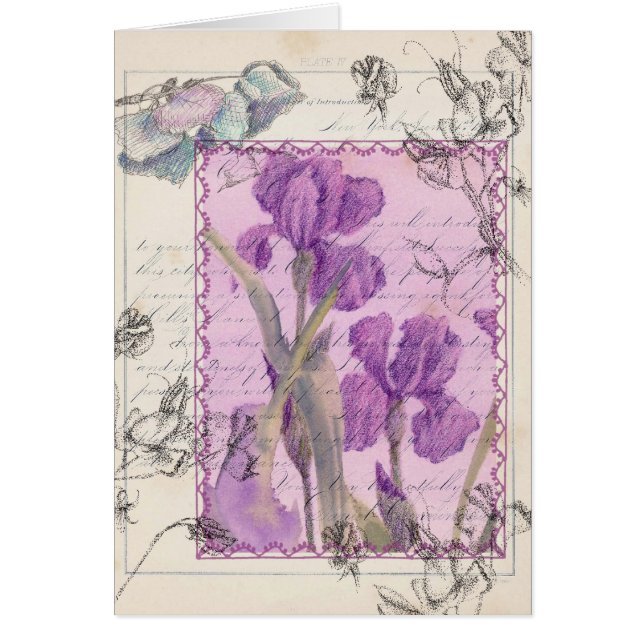 Iris Flowers Plant Victorian Style Collage Cards (Front)