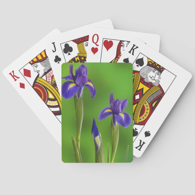 Iris Flowers Poker Cards (Back)