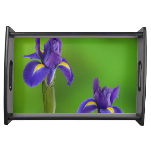 Iris Flowers Serving Tray