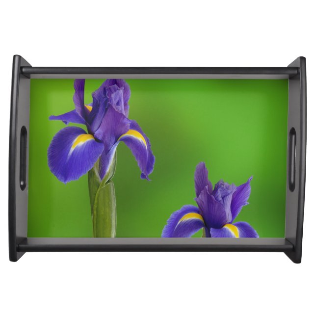 Iris Flowers Serving Tray (Front)