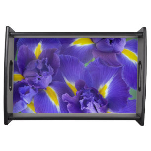Iris flowers serving tray