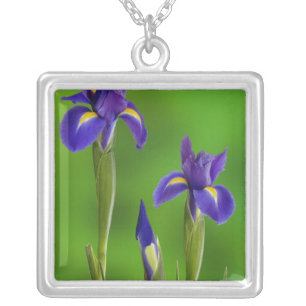 Iris Flowers Silver Plated Necklace