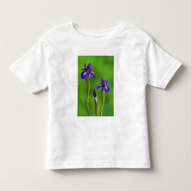 Iris Flowers Toddler T-shirt (Front)
