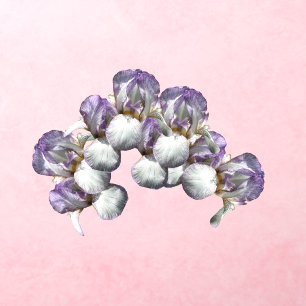 Iris Flowers  Wall Decal