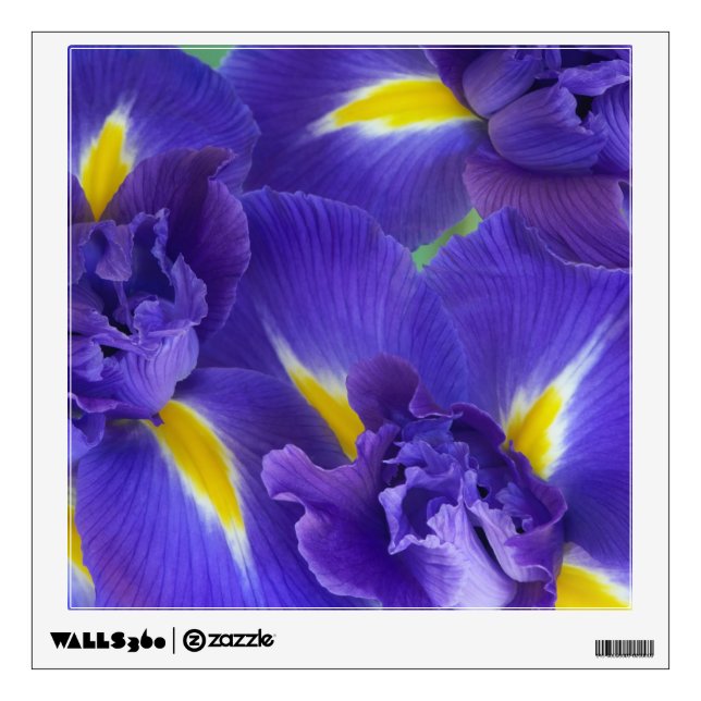 Iris flowers wall sticker (Front)