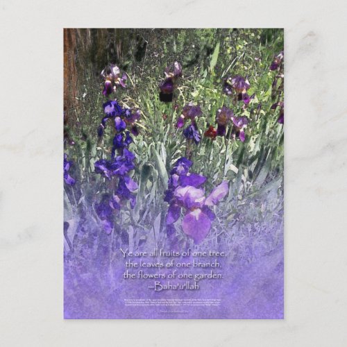 Iris Garden Bahai Quotation Postcard