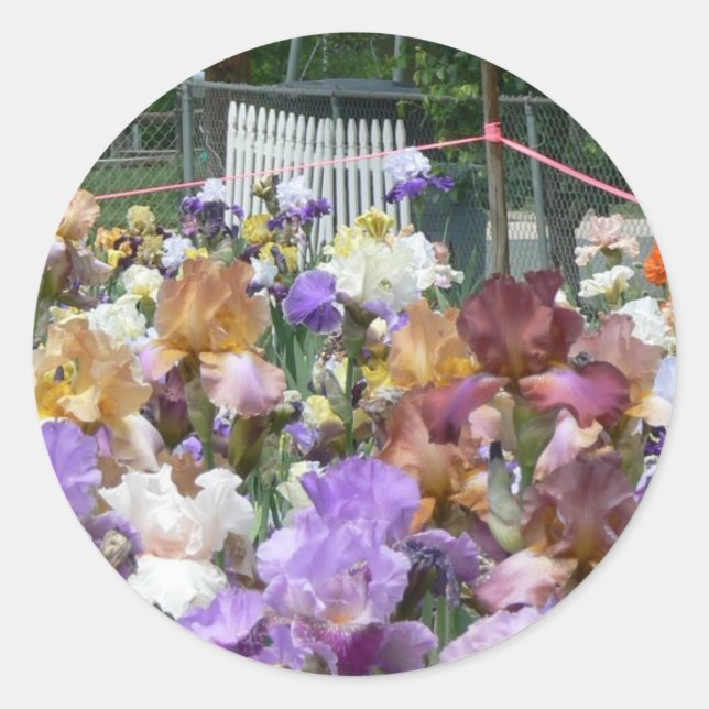 Iris Garden Classic Round Sticker (Front)