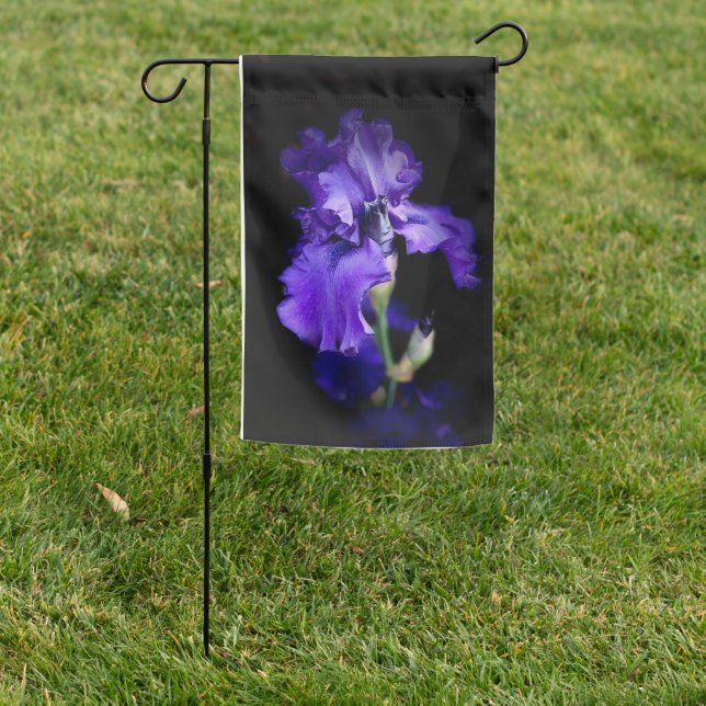 Iris Garden Falg Garden Flag (In SItu)