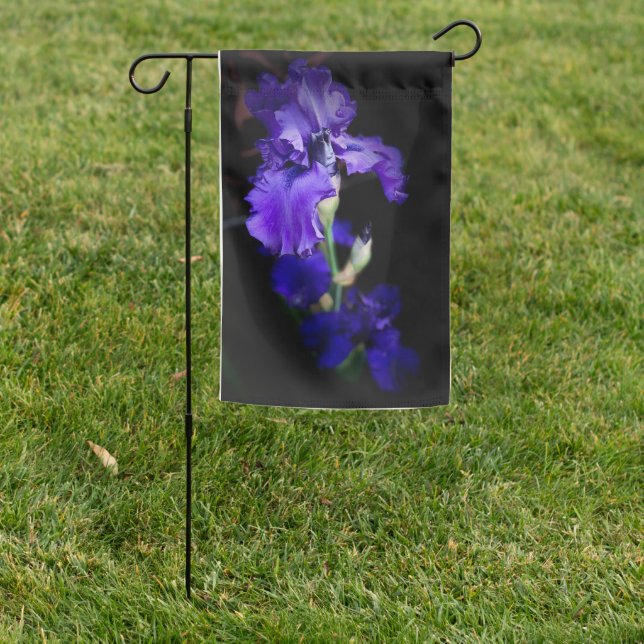 Iris Garden Flag (In SItu)