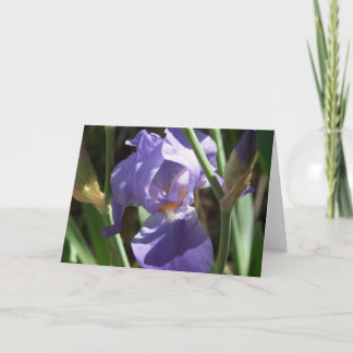 Iris Garden Greeting Card