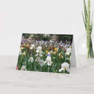 Iris Garden- Happy Birthday! Card