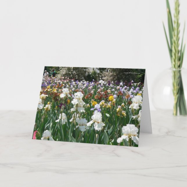 Iris Garden- Happy Birthday! Card (Front)