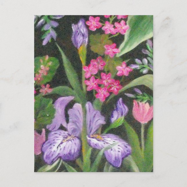Iris Garden Post Card (Front)