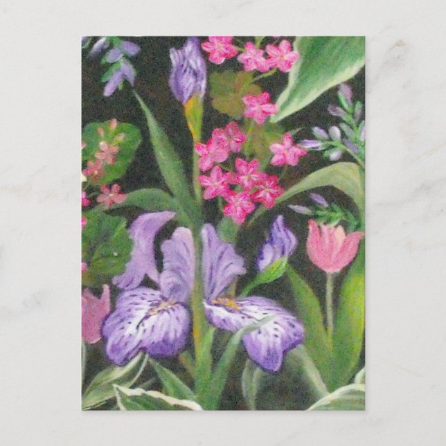 Iris Garden Postcard (Front)