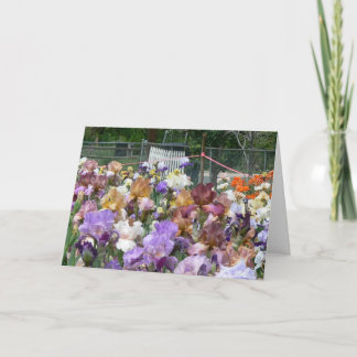 Iris Garden Thank You Card