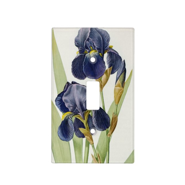 Iris Germanica, from `Les Liliacees', 1805 Light Switch Cover (Front)