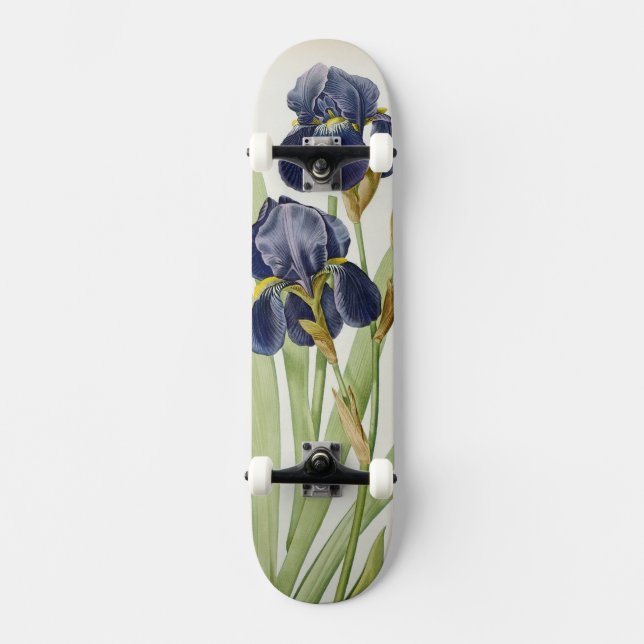 Iris Germanica, from `Les Liliacees', 1805 Skateboard Deck (Front)