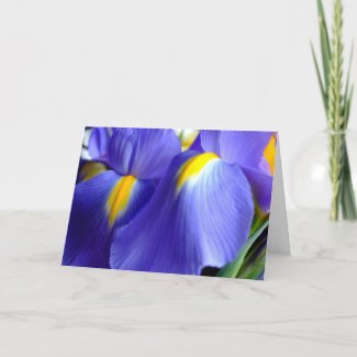 Iris Happy Birthday Card