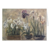 Iris Impressionism Cards (Front Horizontal)