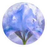 Iris In The Moonlite Art Sticker