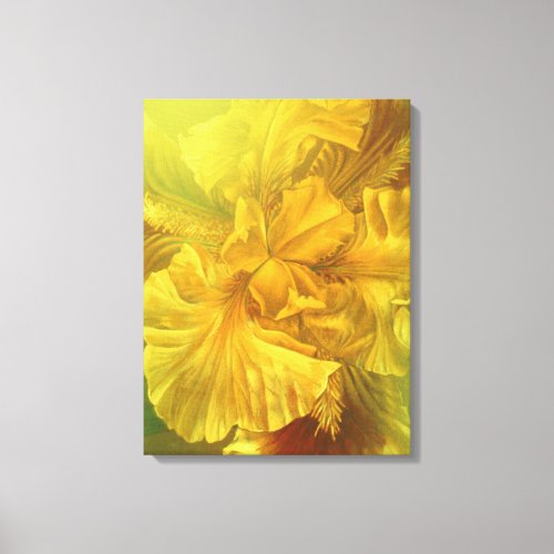 Iris inner beauty warm yellow art canvas print