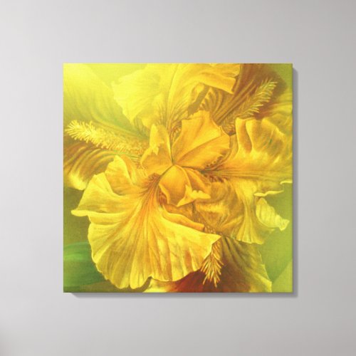 Iris inner beauty warm yellow art square canvas