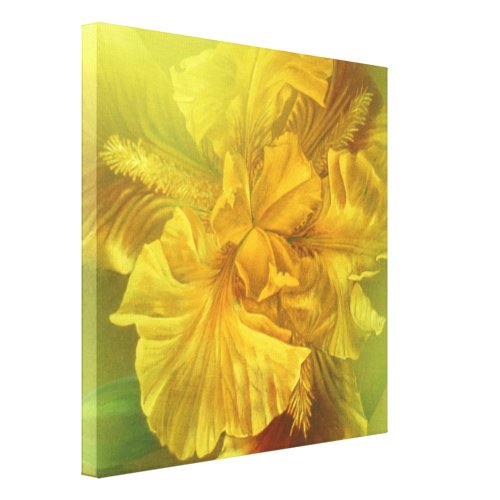 Iris inner beauty warm yellow square canvas