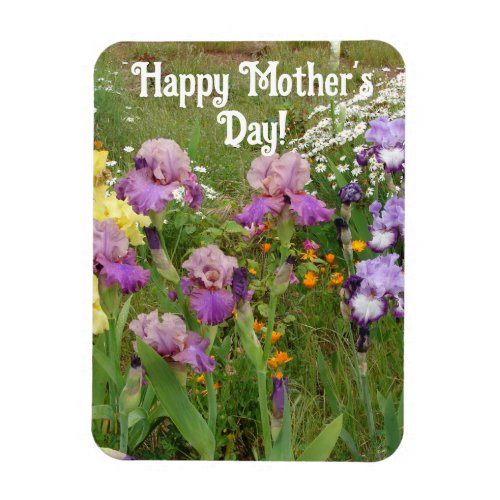Iris Irises Blue Flower flowers Floral Mothers Day