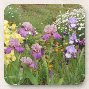 Iris irises floral Flowers Cottage Garden Birthday Beverage Coaster