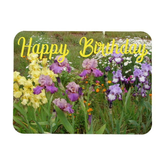 Iris irises floral Flowers Cottage Garden Magnet (Horizontal)