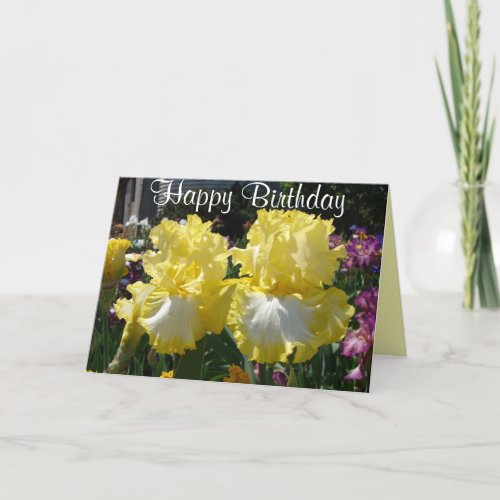 Iris irises floral Flowers Yellow Bearded Flower C Card
