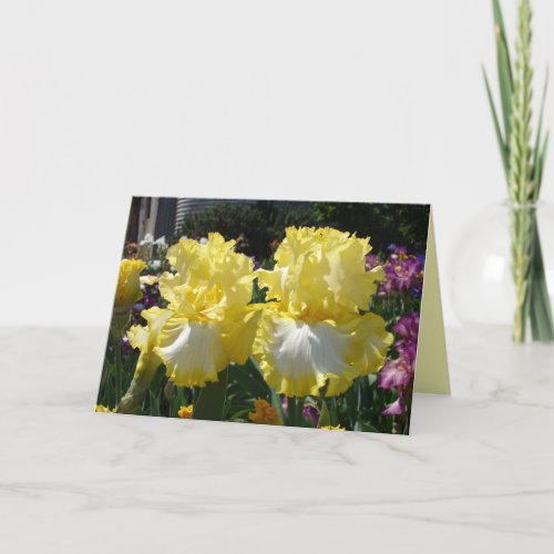 Iris irises floral Flowers Yellow Bearded Flower Card