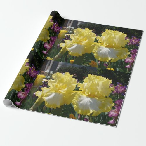 Iris irises flowers Yellow White Bearded floral Wrapping Paper