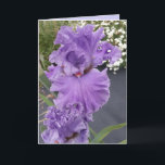 Iris Irises Purple Flower Floral Birthday Card<br><div class="desc">Iris Irises Purple Flower Floral Card. Designed from one of my original flower garden photographs & my original writing,  enjoy!</div>
