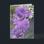 Iris Irises Purple Flower Floral Birthday Card<br><div class="desc">Iris Irises Purple Flower Floral Card. Designed from one of my original flower garden photographs & my original writing,  enjoy!</div>