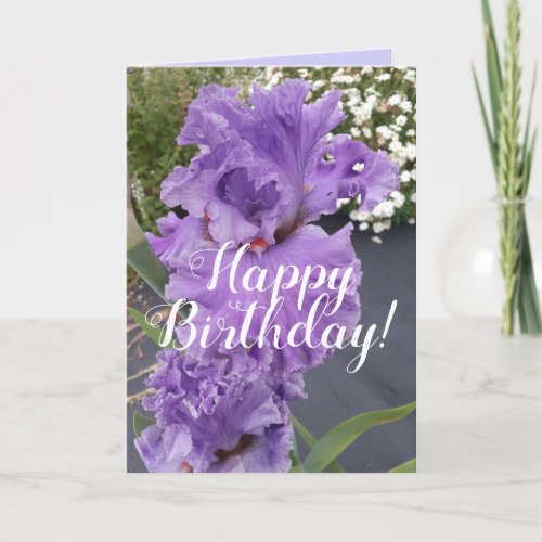 Iris Irises Purple Flower Floral Birthday Card