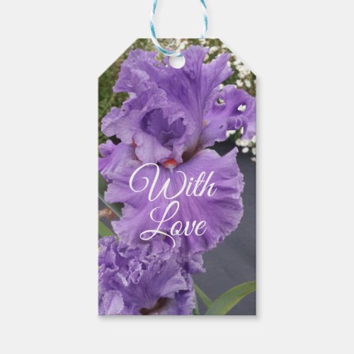 Iris Irises Purple Flower Floral Lavender  Gift Tags