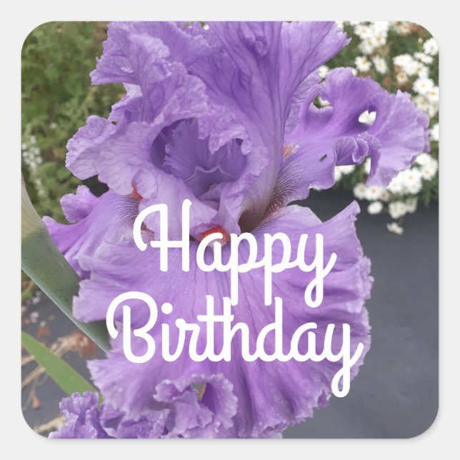 Iris Irises Purple Flower Floral Lavender Square Sticker (Front)