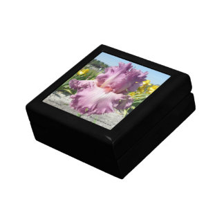 Iris Jewelry Box / Gift Box - "Social Graces"