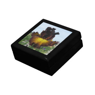 Iris Jewelry Box / Gift Box - "TUSCAN SUMMER"