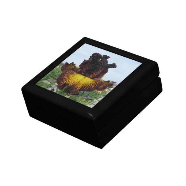 Iris Jewelry Box / Gift Box - "TUSCAN SUMMER" (Side)