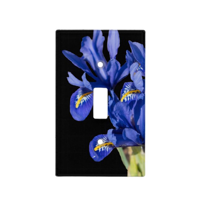 Iris Light Switch (Front)