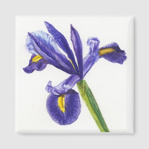 Iris Magnet