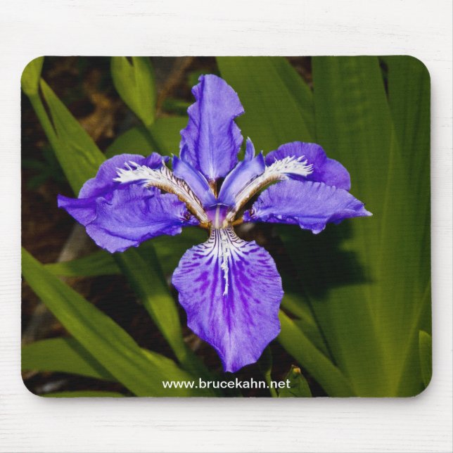 Iris Mouse Pad (Front)