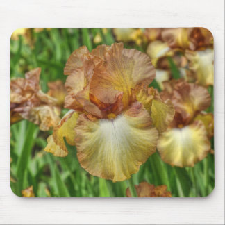 iris mouse pad