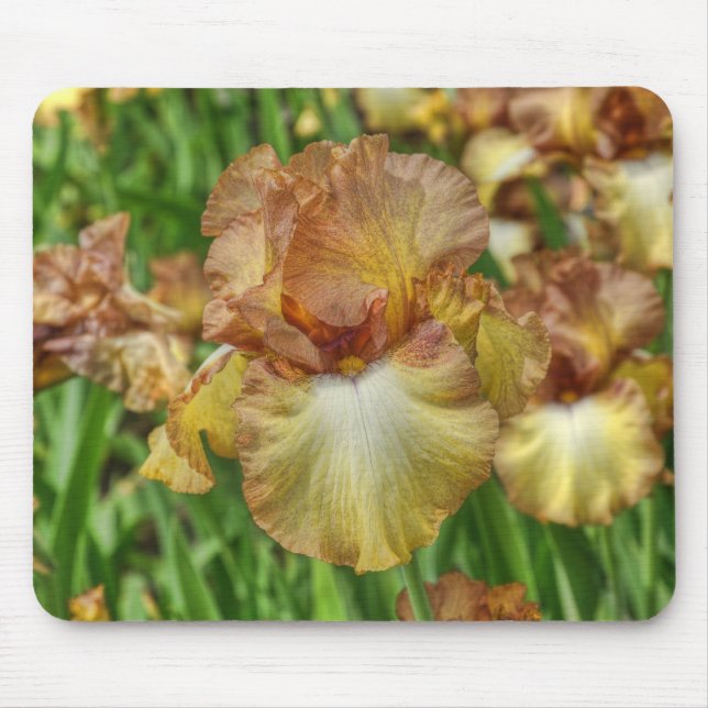 iris mouse pad (Front)