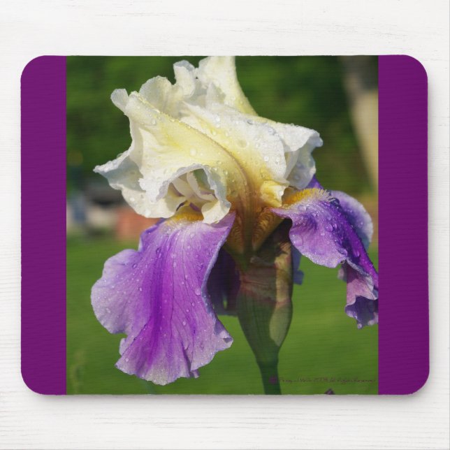 Iris Mousepad (Front)